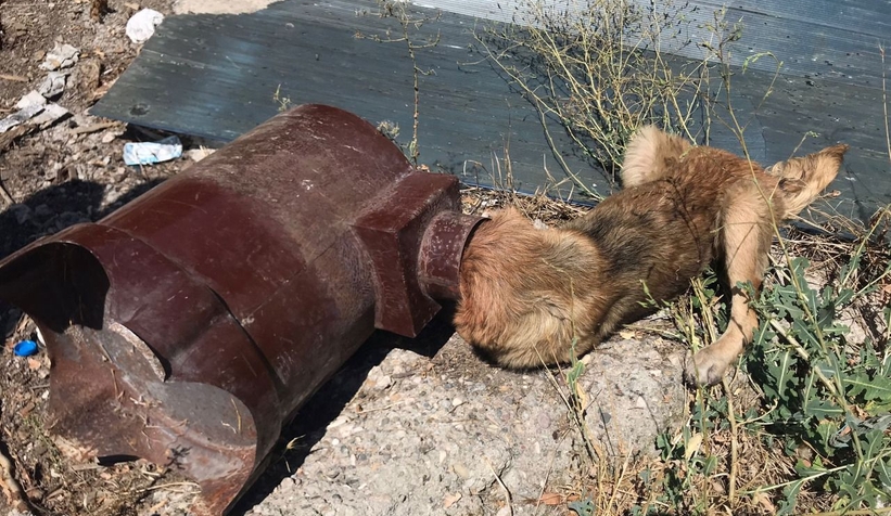 Kafası sobaya sıkıştı, itfaiye kurtardı