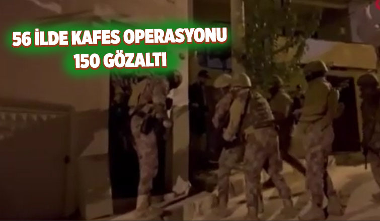 Kafes operasyonunda 150 gözaltı
