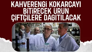 Kahverengi kokarca belasından kurtaracak ürün çiftçiye dağıtılıyor