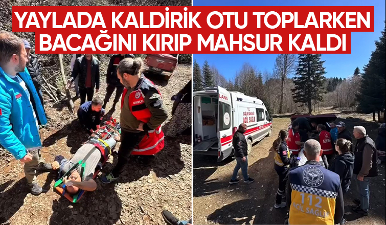 Kaldirik otu toplarken bacağını kırdı, UMKE ekibince kurtarıldı