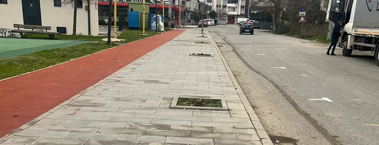 Kaldırımdaki ağaçların kesilmesi tepki çekti