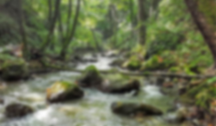 Kamil Usta Deresi'nin ıslah süreci için adım atıldı