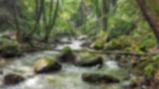 Kamil Usta Deresi'nin ıslah süreci için adım atıldı