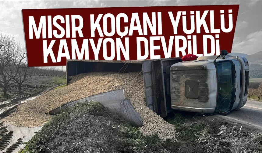 Kamyon devrildi, sürücü yaralı