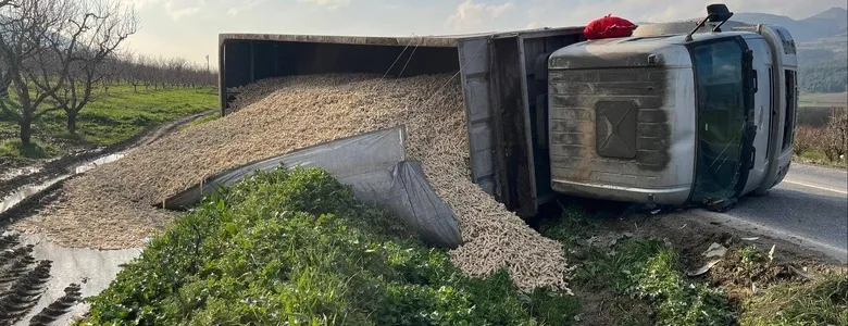 Kamyon devrildi, sürücü yaralı