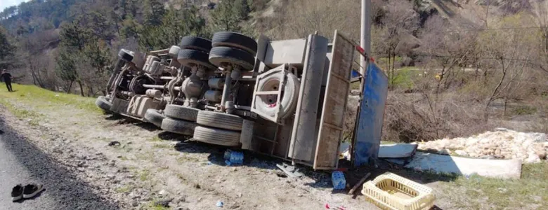 Kamyon devrildi; Tavuklar telef oldu