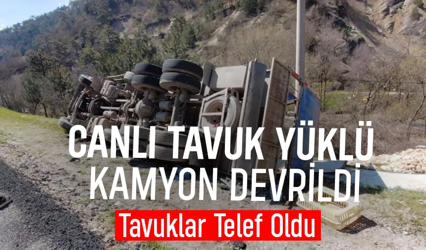 Kamyon devrildi; Tavuklar telef oldu