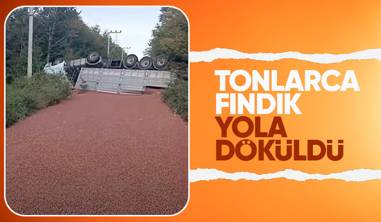 Kamyon takla attı Tonlarca fındık yola saçıldı