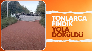 Kamyon takla attı Tonlarca fındık yola saçıldı