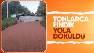 Kamyon takla attı Tonlarca fındık yola saçıldı