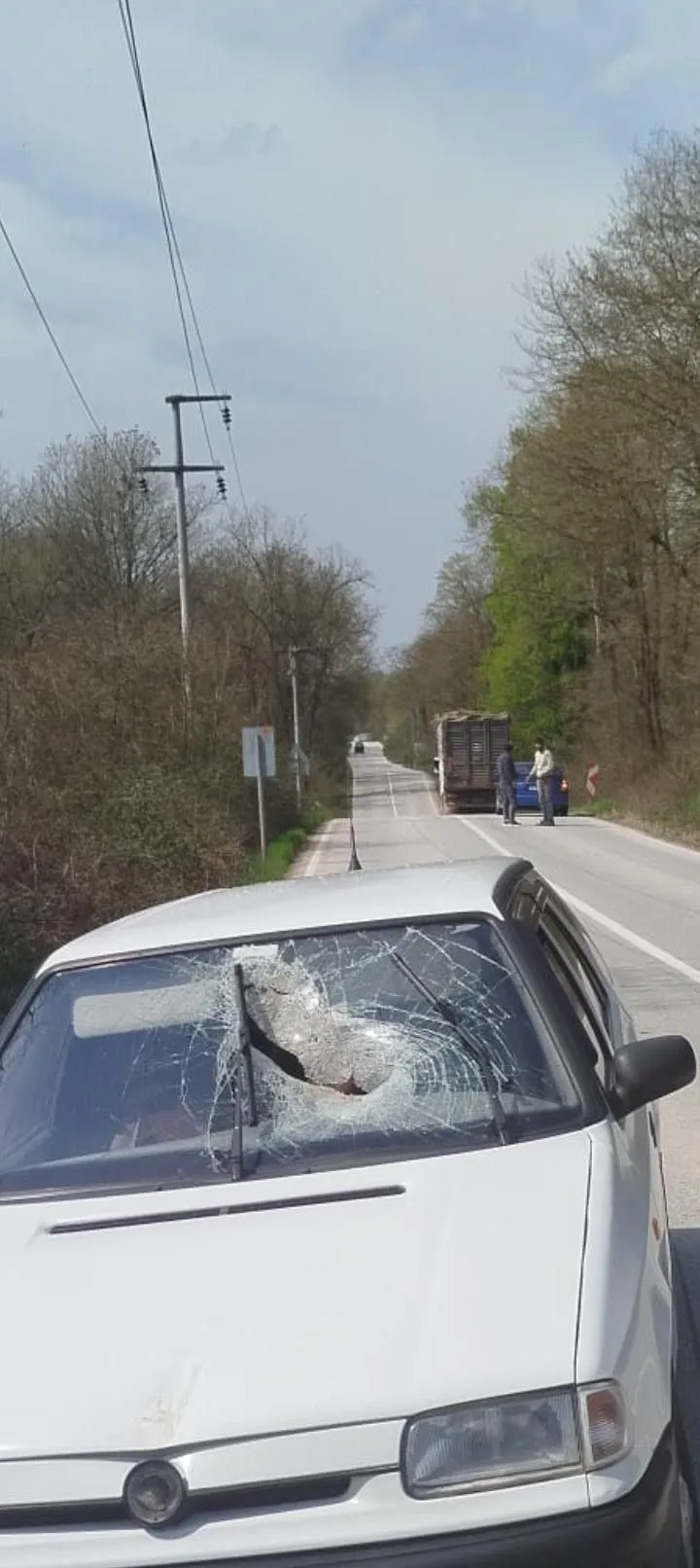 Kamyondan düşen tomruk otomobile saplandı