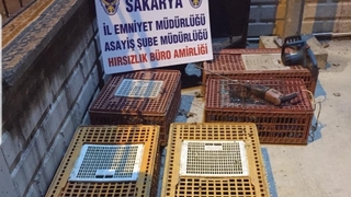 Kamyoneti içindeki kaz ve tavuklarla çaldılar