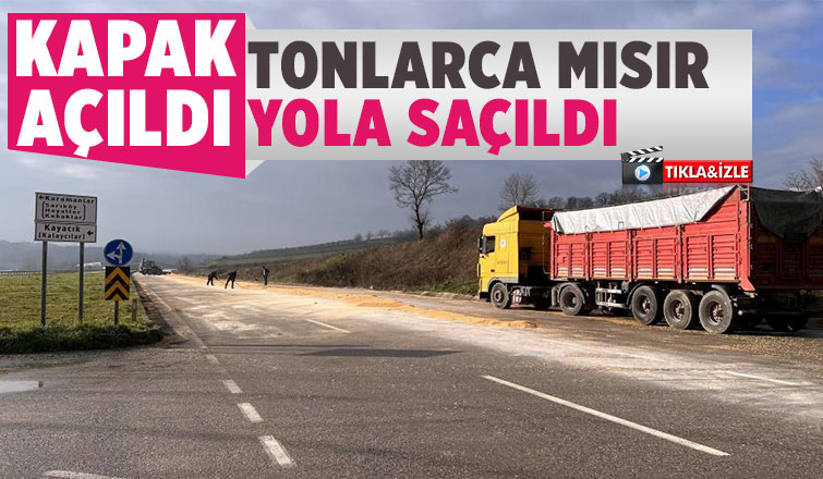 Kamyonun kapağı açıldı, yol mısırla kaplandı