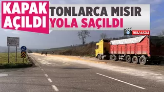 Kamyonun kapağı açıldı, yol mısırla kaplandı