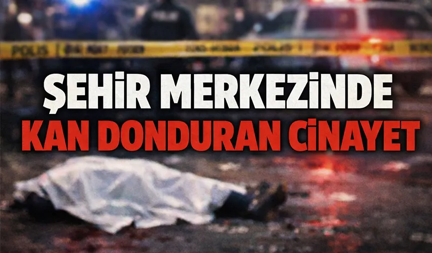 Kan donduran cinayet