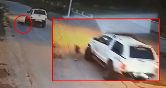 Kan donduran olay; Köpeği ezip kaçtı