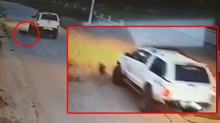 Kan donduran olay; Köpeği ezip kaçtı