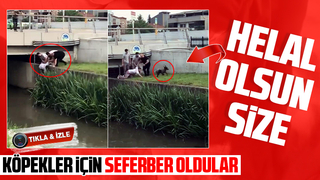 Kanala düşen köpek için seferber oldular