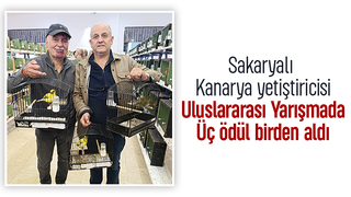 Kanarya yarışmasında Sakarya'ya iki birincilik