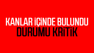 Kanlar içinde buldular