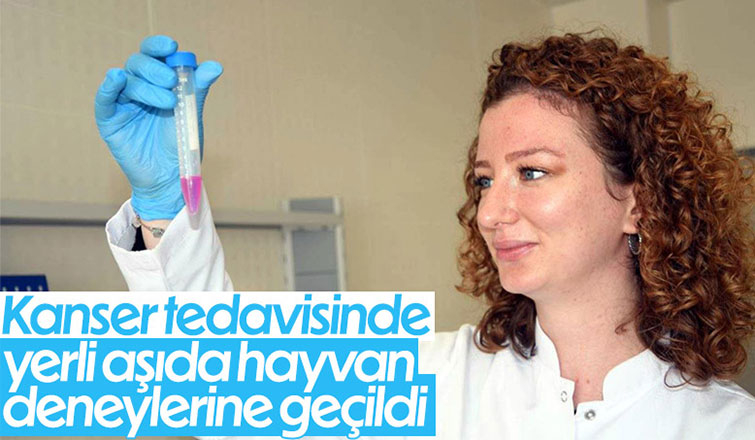 Kanser aşısında hayvan deneylerine geçiliyor