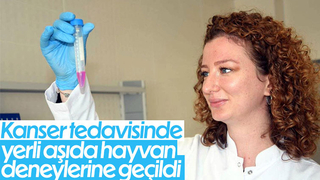 Kanser aşısında hayvan deneylerine geçiliyor
