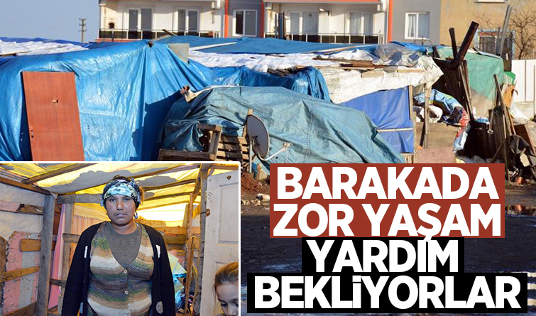 Kar en çok onları etkiledi