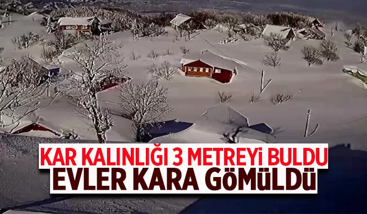 Kar kalınlığı 3 metreyi buldu evler kara gömüldü