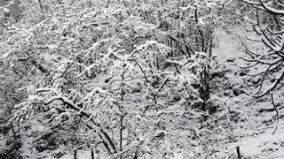 Kar yağışı fındıkçıyı endişelendirdi