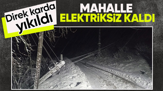 Kara dayanamayan elektrik direği yıkıldı