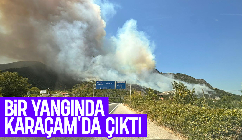 Karaçam'da orman yangını