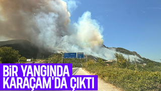 Karaçam'da orman yangını