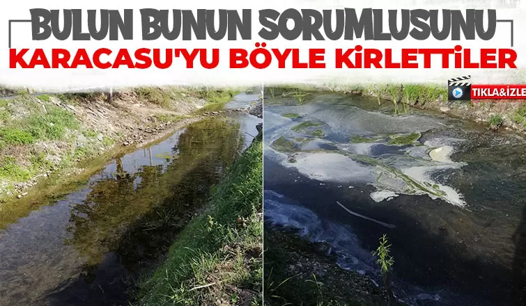 Karacasu'ya atıkları böyle boşalttılar