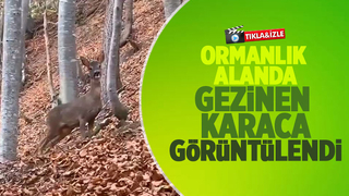 Karacayı böyle görüntüledi