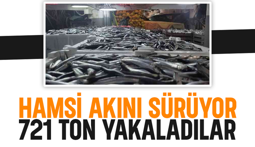 Karadeniz'de hamsi bolluğu; 721 ton hamsi avladılar