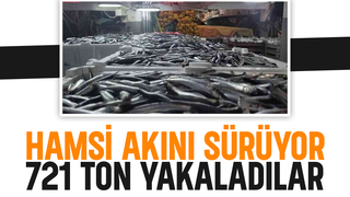 Karadeniz'de hamsi bolluğu; 721 ton hamsi avladılar