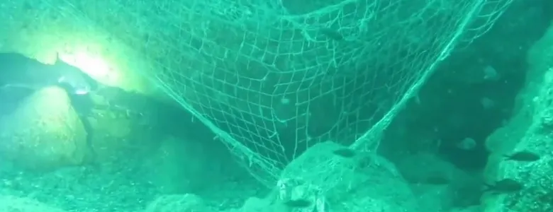 Karadeniz'de hayalet ağlar canlıları tehdit ediyor