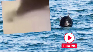 Karadeniz'de mayın patladı; Restoran zarar gördü