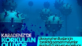 Karadeniz'de serseri mayın tedirginliği
