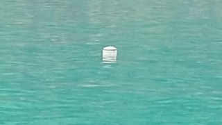 Karadeniz'de şüpheli cisim alarmı