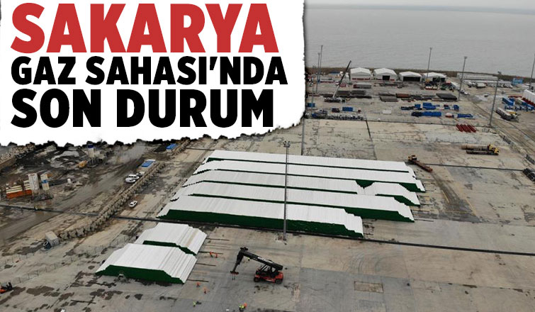 Karadeniz gazının karaya çıkartılma çalışmaları sürüyor
