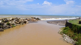 Karadeniz kahverengiye büründü