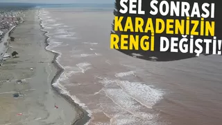 Karadeniz kahverengiye döndü