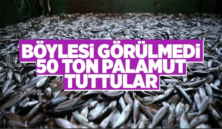 Karadenizde 50 ton palamut tuttular