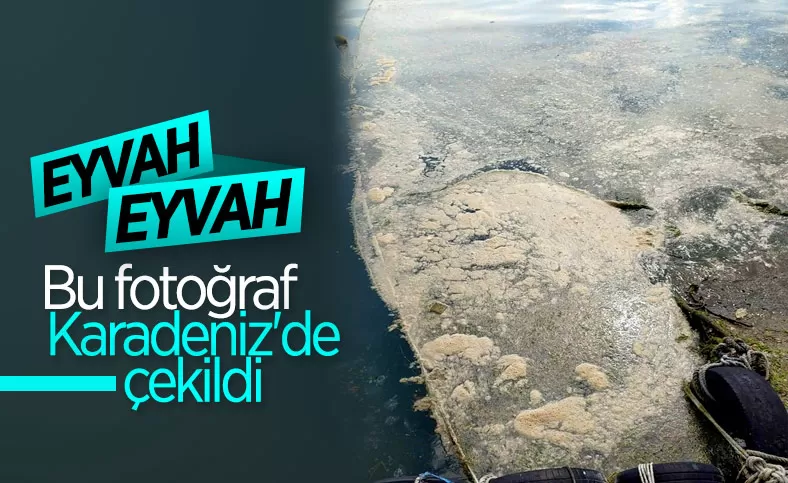 Karadeniz’de deniz salyası görüldü