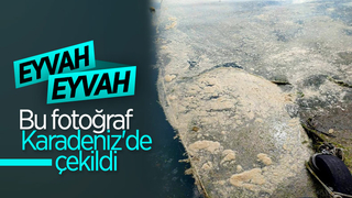 Karadeniz’de deniz salyası görüldü