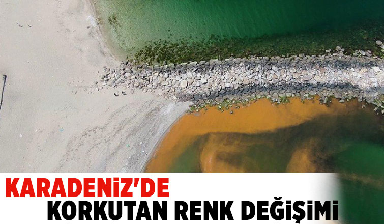 Karadenizde korkutan gelişme