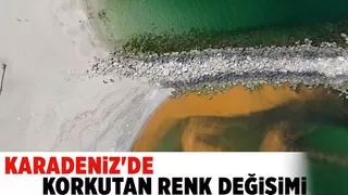 Karadenizde korkutan gelişme