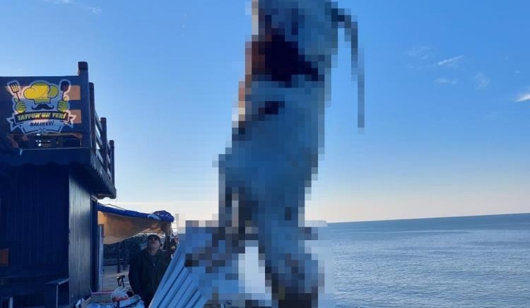 Karadeniz’den hamsi yerine büyükbaş hayvan çıktı