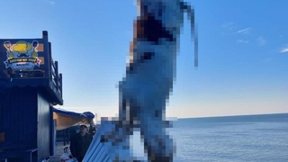 Karadeniz’den hamsi yerine büyükbaş hayvan çıktı